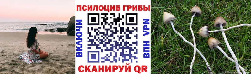 Галлюциногенные грибы прущие грибы  ссылка на мегу ссылка  Бакал 